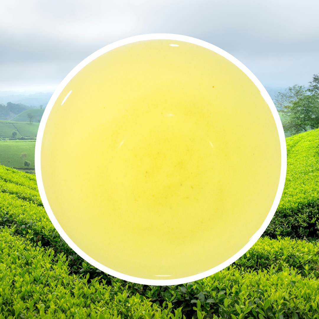 Trà Xanh Nguyên Lá (Lục Trà Cổ Điển) BNB - 1 KG
